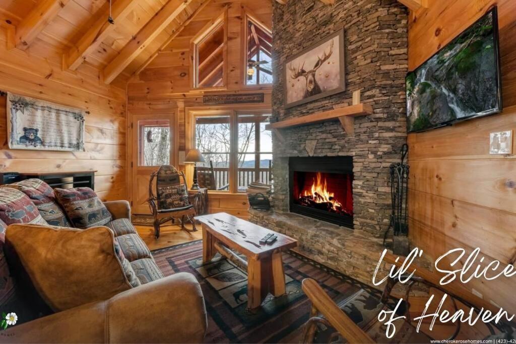 Lil Slice Of Heaven - Perfect Views-Hot Tub-Wine Blue Ridge Exterior foto