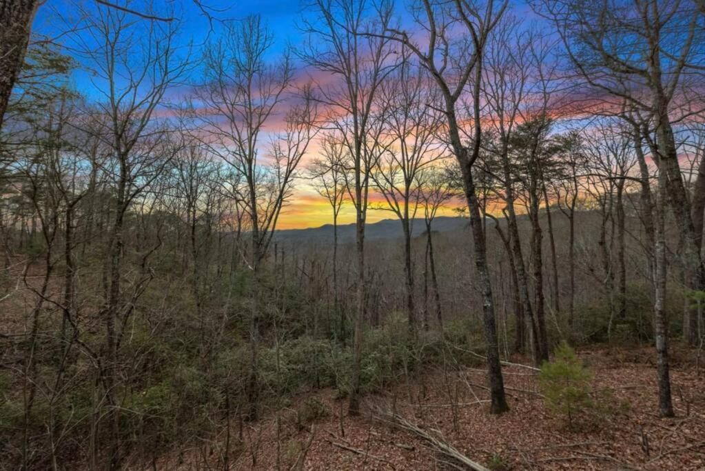 Lil Slice Of Heaven - Perfect Views-Hot Tub-Wine Blue Ridge Exterior foto